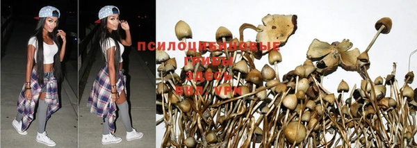 меф Абинск