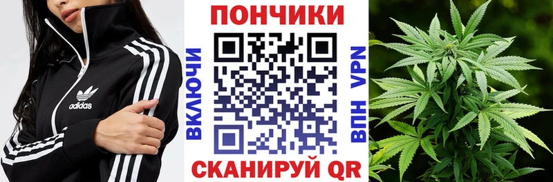 МАРИХУАНА гибрид Каменногорск